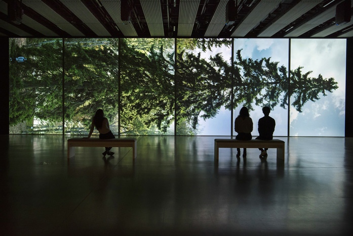 View of Eija-Liisa Ahtila, Horizontal - Vaakasuora, 2011, at Among the Trees, Hayward Gallery, 2020. © Crystal Eye, Helsinki, 2020. Courtesy of Hayward Gallery. Photo: Linda Nylind.