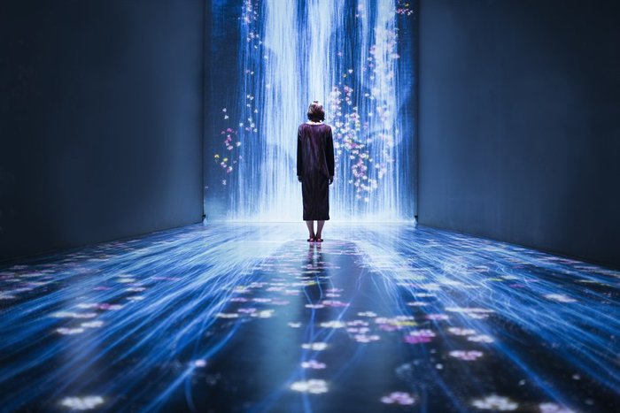 Universe of Water Particles, Transcending Boundaries,  2017, Interactive Digital Installation, Sound: Hideaki Takahashi. Flowers and People, Cannot be Controlled but Live Together, Transcending Boundaries - A Whole Year per Hour, 2017, Interactive Digital Installation, Sound: Hideaki Takahashi. © teamLab, courtesy Pace Gallery 