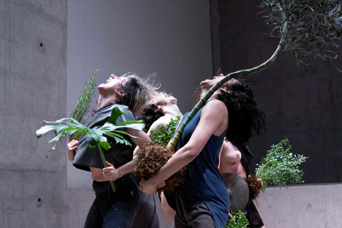 Elisabete Finger & Manuela Eichner, MONSTRA. Performance. Photo: Debby Gram