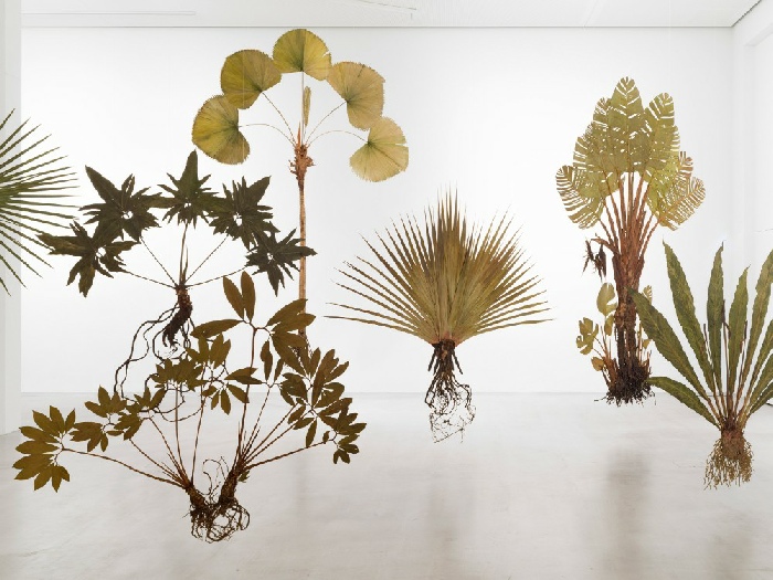 Julius von Bismarck, I like the flowers (Pandanus utilis), small, 2023, plantes pressées et séchées, montées sur plaques d'acier inoxydable. Photo : Roman März. Courtesy de l’artiste;  Sies + Höke, Düsseldorf ; VG Bild-Kunst, Bonn 2023