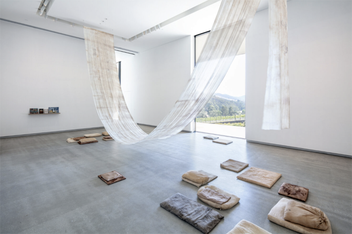 Katie West, Clearing, 2019. Installation view, TarraWarra Museum of Art. Photo: Andrew Curtis. Courtesy the artist.