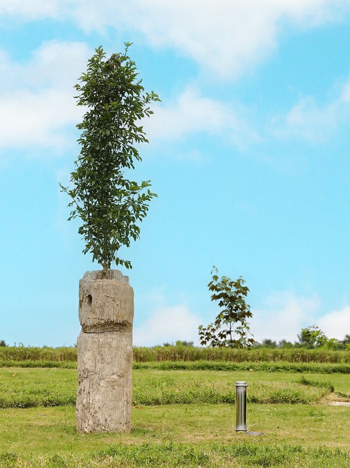 Christian Kosmas Mayer: Zeit, Zuwendung und Raum (Time, Care and Space), 2025. © Christian Kosmas Mayer, Bildrecht, Wien, 2025. Photo: Universalmuseum Joanneum/J.J. Kucek, May 25, 2025.