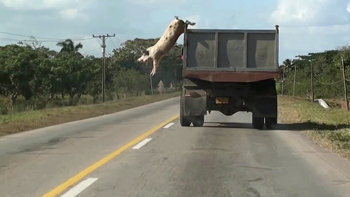 Tiziana Pers, Saut dans le vide, 2016 (still). Courtesy of the artist.