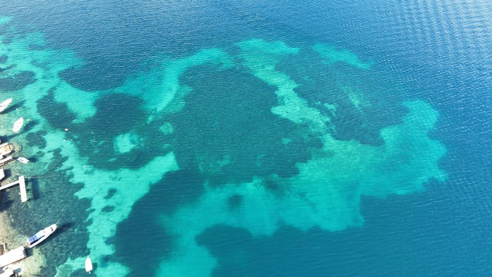 Hito Steyerl,&nbsp;Image CC 4.0. Courtesy of the artist, Andrew Kreps Gallery, New York and Esther Schipper, Berlin/Paris/Seoul.