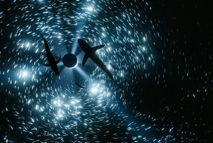 Julian Charrière, Midnight Zone—85 Fathoms, 2024. © 2025 ProLitteris, Zürich and the artist 