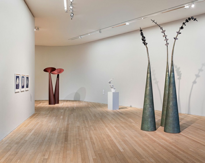 Eilis O'Connell,&nbsp;HAPPENSTANCE. Left to right:&nbsp;MRI Diffusion, 2017.&nbsp;Earth Trumpets, 1993.&nbsp;Cairn, 2025.&nbsp;Renewed Search, 2025. Photo: Jed Niezgoda 